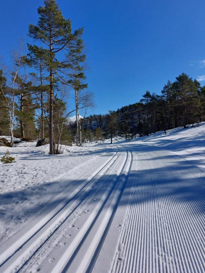 Bjorndalsvatnet *